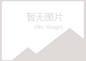 夏河县从彤化学有限公司